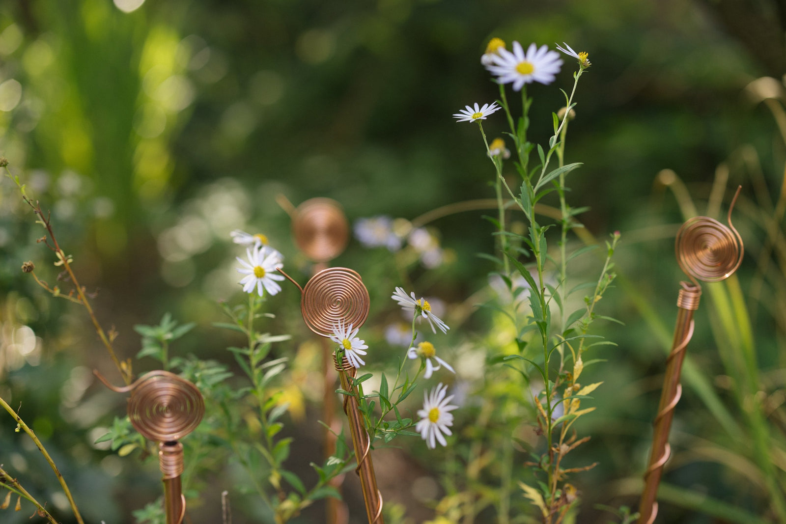 Quatro antenas de eletrocultura em cobre entre plantas verdes no jardim