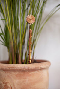 Antena de cobre Kopero Eletrocultura 30 cm num vaso de terracota com erva ornamental