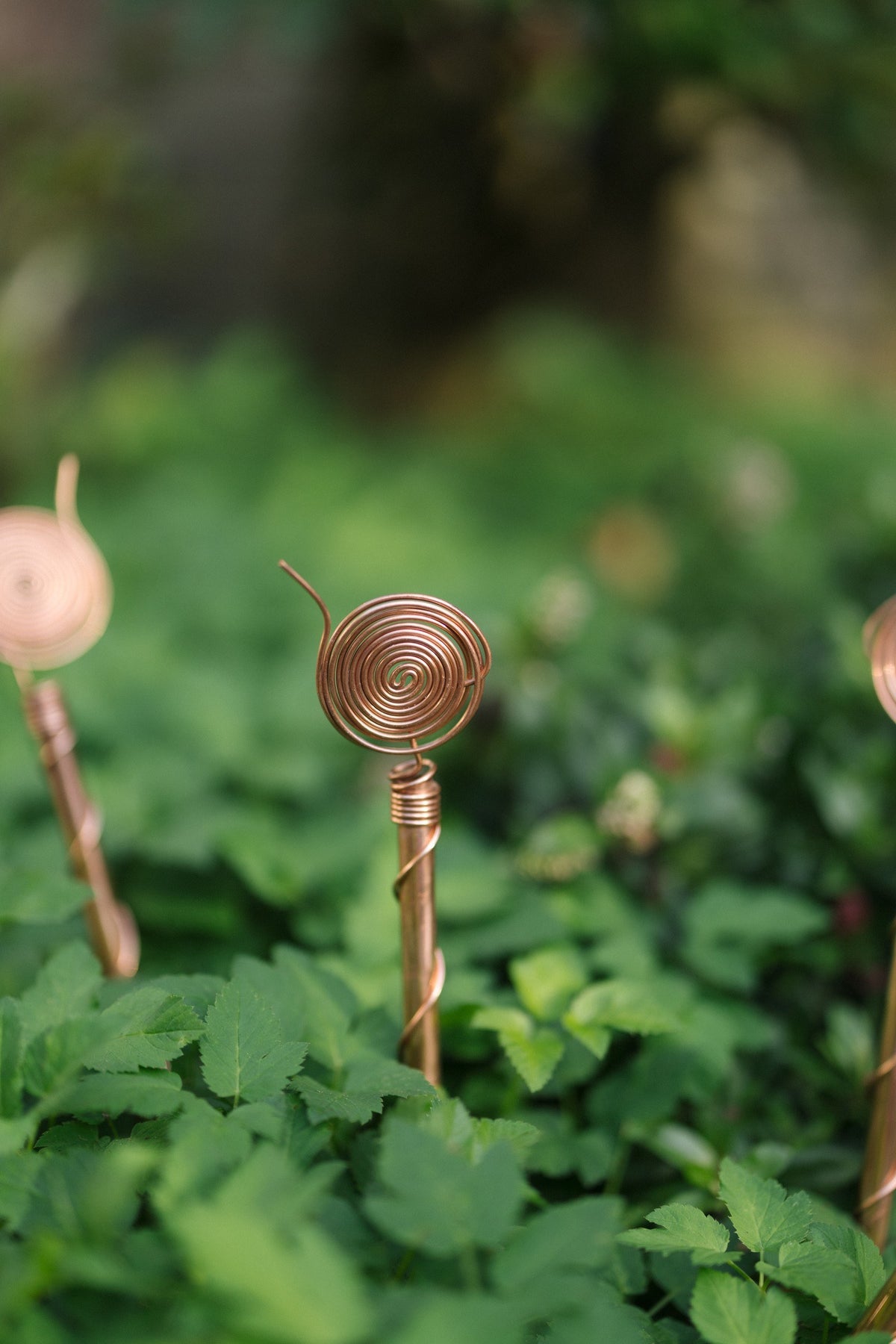 Kopero Eletrocultura 30 cm, uma antena num canteiro entre plantas verdes