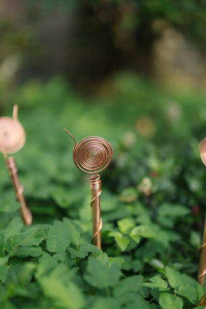 Kopero Eletrocultura 30 cm, uma antena num canteiro entre plantas verdes