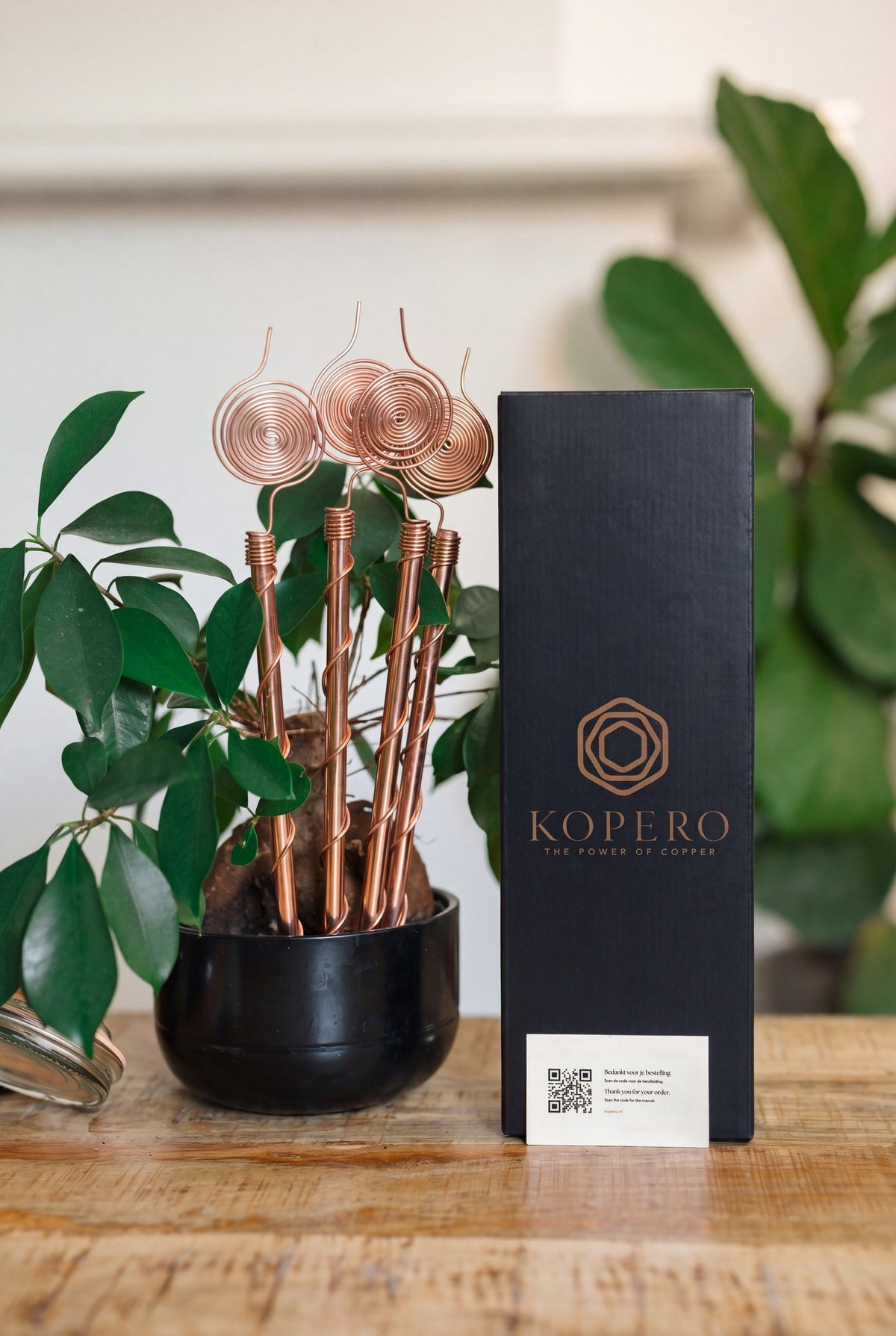 Kopero Eletrocultura 30 cm, com a caixa Kopero preta, ao lado de uma planta de interior