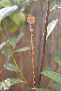 Antena de cobre Kopero Eletrocultura 60 cm junto a uma trepadeira no jardim