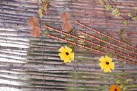Antenas Kopero Eletrocultura de 60 cm junto a uma vedação de vime com trepadeira em flor