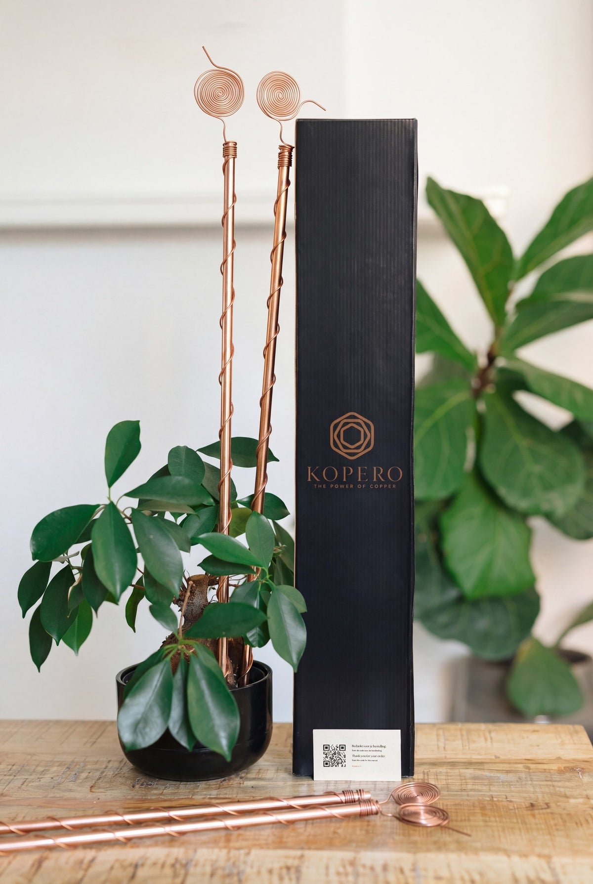 Kopero Eletrocultura 60 cm, com a caixa Kopero preta e uma planta de interior