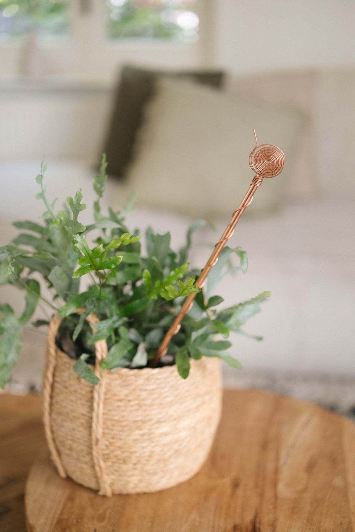 Kopero Eletrocultura 60 cm, num cesto de vime com uma planta de interior