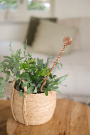 Kopero Eletrocultura 60 cm, num cesto de vime com uma planta de interior