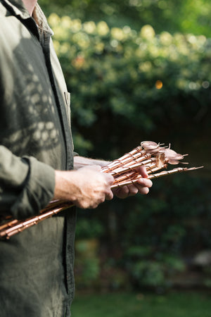 Kopero Eletrocultura, um molho de antenas de cobre em duas mãos no jardim