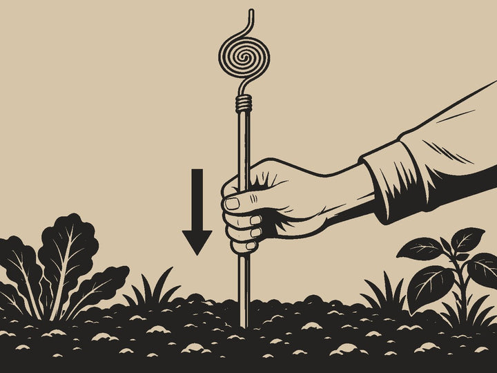 Espeta-a direita na terra
