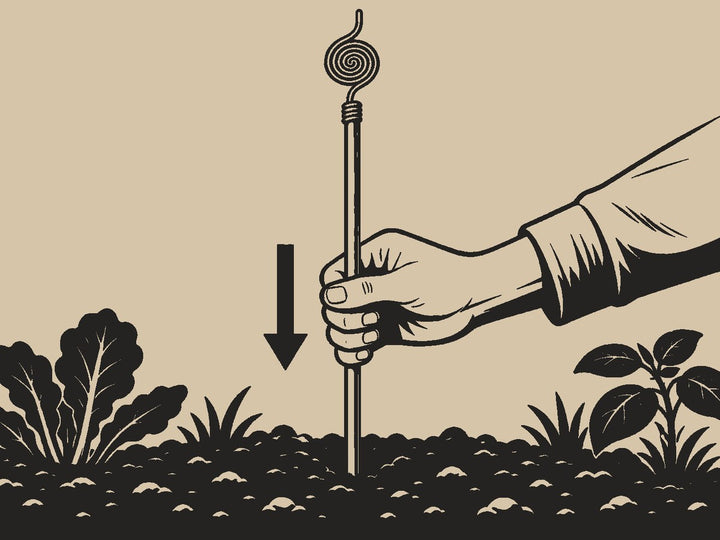 Espeta-a direita na terra